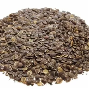 تخم گزنه (انجره )200 گرم(آسم ، درد کلیه و پهلو ،جای زخم )