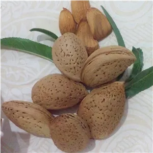 بادام سنگی امساله(بدون تلخی) 1 کیلو