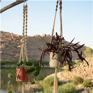 آویز گلدان مدل پیچک 