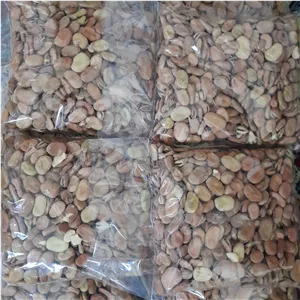 باقالاخشک (10000گرمی)