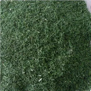 سبزی خشک شوید (200گرمی)