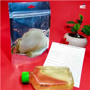 فروش ویژه 60 گرم قارچ کامبوجا تازه و فعال به همراه 280 میلی شربت کامبوجا وبروشور آموزش رایگان محصول 