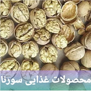 گردو پوست کاغذی10kg 