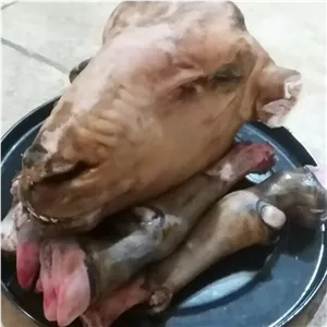کله پاچه بره نر