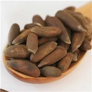 چلغوز درجه یک امسالی یک کیلویی 1404 ویژه به قیمت عمده