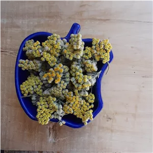 بومادران زرد یا برنجاسف(100گرم)