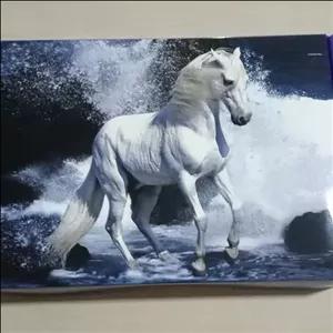 پک کبریت کلکسیونی اسب های ایرانی