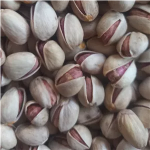 پسته فندقی 