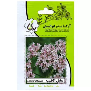 سنبل الطیب ارکا بذر ایرانیان
