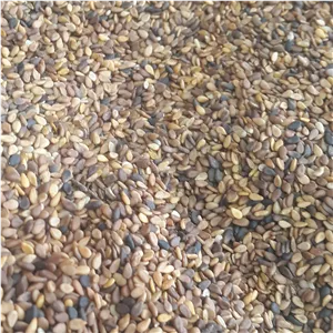 کنجد با پوست (یک کیلویی)