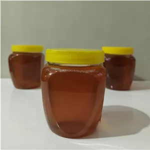 عسل گون  - یک کیلوگرمی 