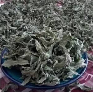 پونه درجه یک کوهی