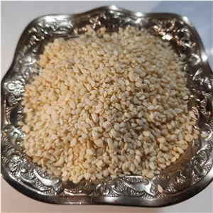 کنجد سفید 500گرمی فروشگاه آویشا
