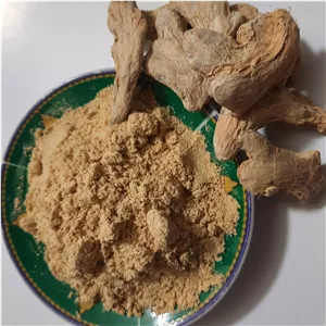 پودر زنجبیل (75گرمی)