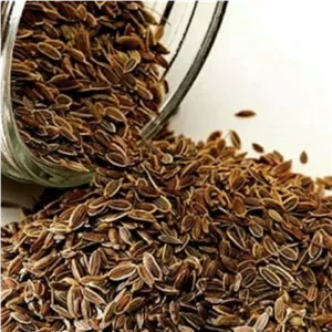 تخم شوید 100 گرمی


