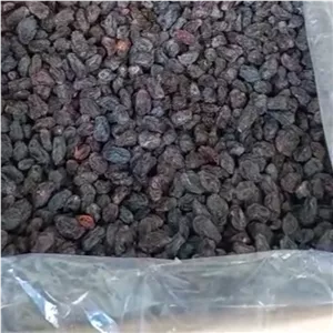مویز سیاه