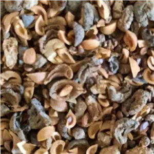 آمله مقشر یا انگور هندی 100گرمی