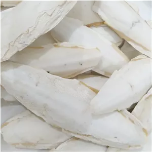 کف دریا 