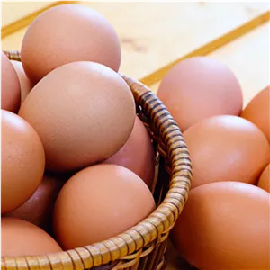 تخم مرغ دو زرده 6 عددی تولید روز