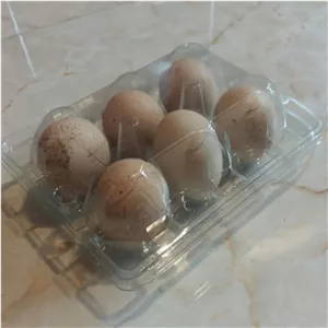 تخم کبک 6 عددی خوراکی تولید روز