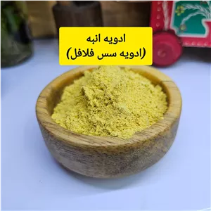 ادویه انبه جنوبی (سس فلافل) 100 گرم
