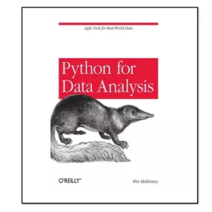 کتاب زبان اصلی Python for Data Analysis اثر Wes McKinney انتشارات O’Reilly