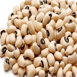 لوبیا چشم بلبلی خالص بسته 1 کیلوگرمی
