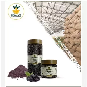  میوه تمشک با کیفیت عالی، بار امسالی و تازه(2کیلوگرم)