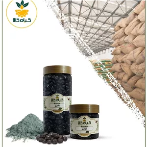 میوه بلوبری، بار امسالی و تازه(500گرمی)