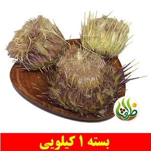 خار مریم ( گل خار مریم ) ظرافت 1 کیلویی