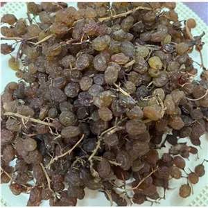 کشمش تیزابی پاک نشده ملکان 1 کیلوگرمی 