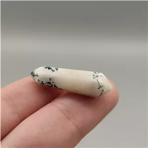 سنگ منشور جاسپر خزه ای 