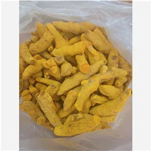 ریشه زردچوبه چهارمنار هندوستان 1ک 