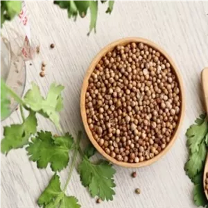 تخم گشنیز