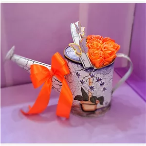 باکس گل ربانی آبپاش خارجی