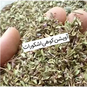 آویشن کوهی اشکورات