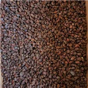 کشمش آبگیری درجه یک (10 کیلوگرم،ارسال رایگان)