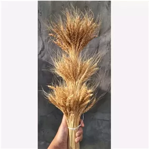 خوشه گندم دسته 100عددی