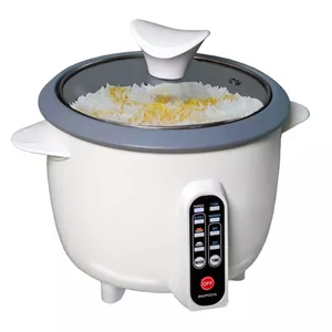 پلوپز مولتی کوکر 4 نفره مه پویا مدل DM-500