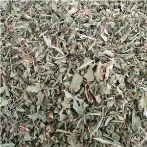 برگ کاسنی 250 گرم