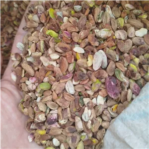مغز پسته سالم بدون خرابی 