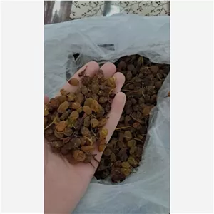 کشمش تیزابی پاک نشده 250 گرمی 