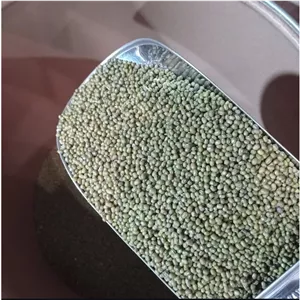  ماش کیلویی