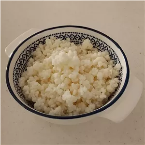 قارچ کفیر تازه و فعال 50 گرم برای تولید دوغ کفیر ارسال سریع و تخفیف ارسال