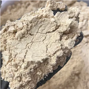پودر  زنجبیل  چینی خوش عطر و طعم 200گرمی