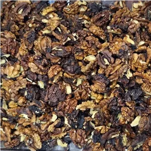 مغز گردو خورشتی چرب و تازه اقتصادی