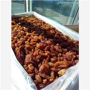 مویز هسته دار فله 5 کیلو (عمده)