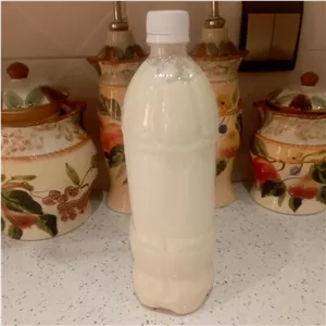 کشک گوسفندی