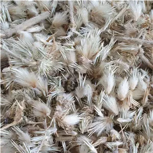 گل قاصدک 500 گرم