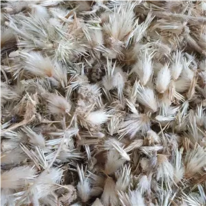 گل قاصدک 1 کیلو